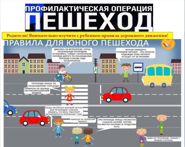 Операция «Пешеход».